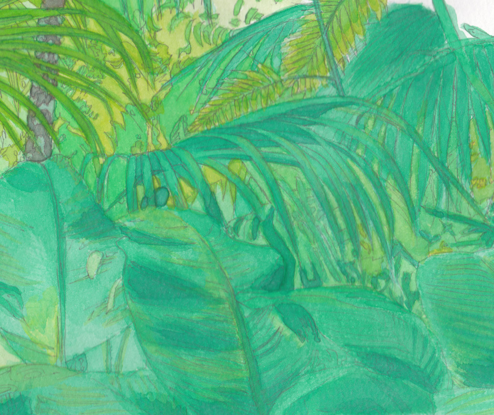 サービス紹介 広告・印刷物制作 ヘッダイメージ